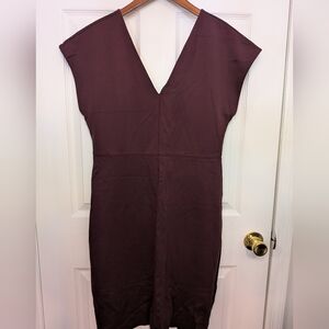 Express Cranberry Fitted Dress